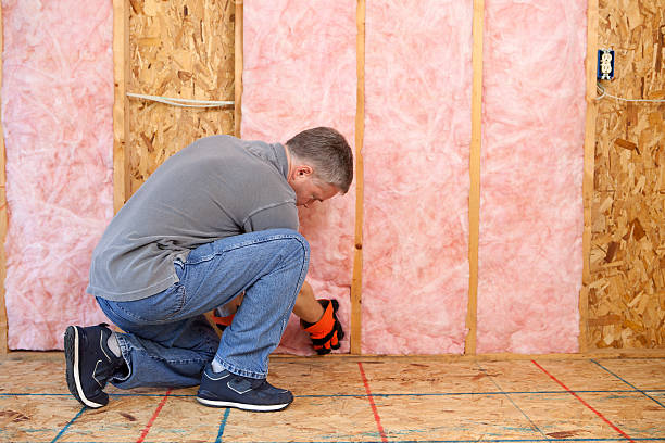 Best DIY Insulation Kits and Guidance in Norwich, NY