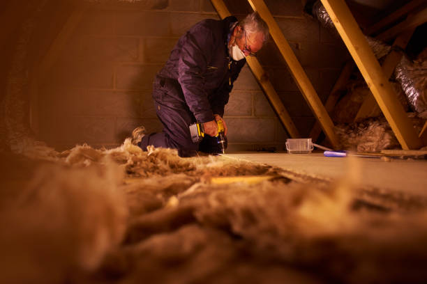 Best Cellulose Insulation in Norwich, NY